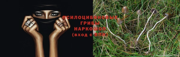 герыч Абинск